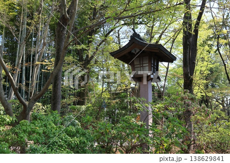 大宮氷川神社 石灯篭 大宮氷川神社 石灯篭 138629841