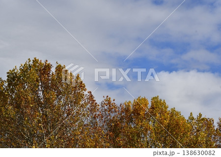秋の空と紅葉 秋の空と紅葉 138630082