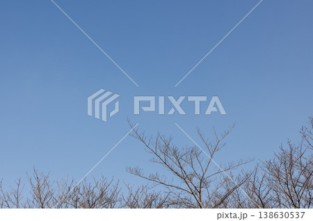 空　00311 138630537