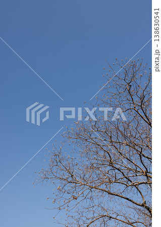 空 00314 空 00314 138630541