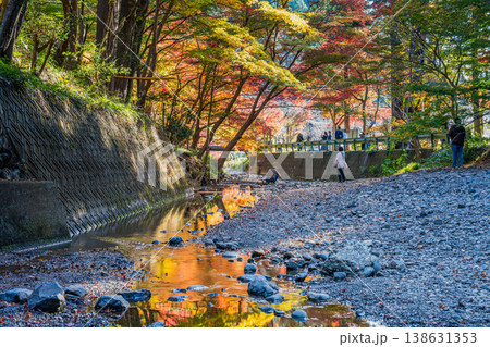 森町の遠江国一宮小國神社の紅葉の風景(静岡県) 138631353
