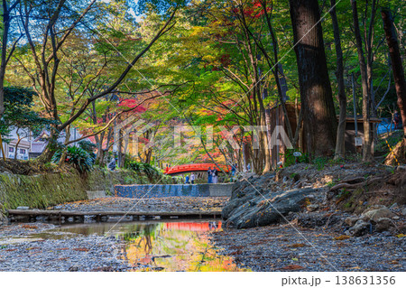 森町の遠江国一宮小國神社の紅葉の風景(静岡県) 森町の遠江国一宮小國神社の紅葉の風景(静岡県) 138631356