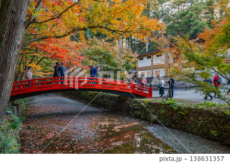 森町の遠江国一宮小國神社の紅葉と一宮川に架かる赤い橋の風景(静岡県) 森町の遠江国一宮小國神社の紅葉と一宮川に架かる赤い橋の風景(静岡県) 138631357