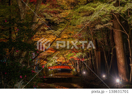 森町の遠江国一宮小國神社の紅葉の風景(静岡県) 138631701