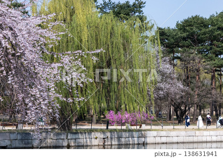 Kyeonghoeru Pavilion in Gyeongbokgung Palace  138631941