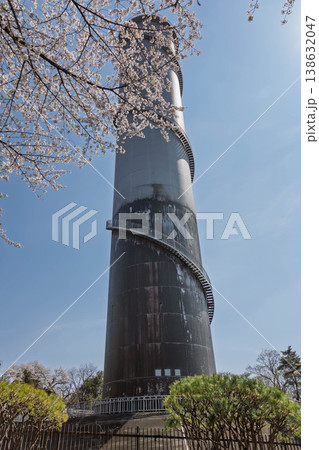 桜のある風景　渋川市佐久発電所ふれあい広場 138632047