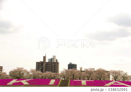 荒川赤羽桜堤緑地 138632091