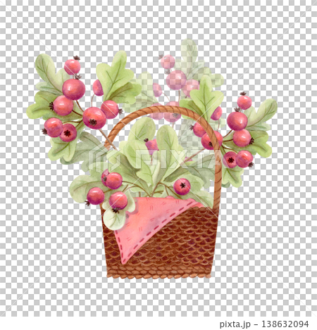 Watercolor autumn berry basket illustration. Cozy rustic harvest clipart with hawthorn berries and leaves. Cottagecore fall design Watercolor autumn berry basket illustration. Cozy rustic harvest clipart with hawthorn berries and leaves. Cottagecore fall design 138632094