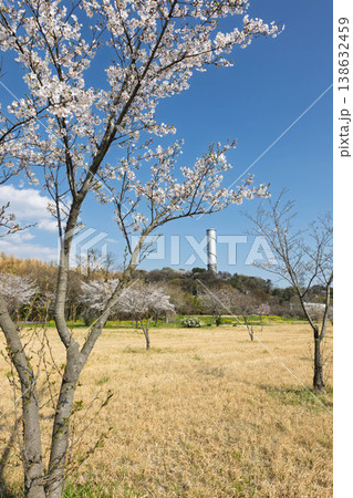 桜とサージタンク 利根川河川敷公園より見る佐久発電所 桜とサージタンク 利根川河川敷公園より見る佐久発電所 138632459