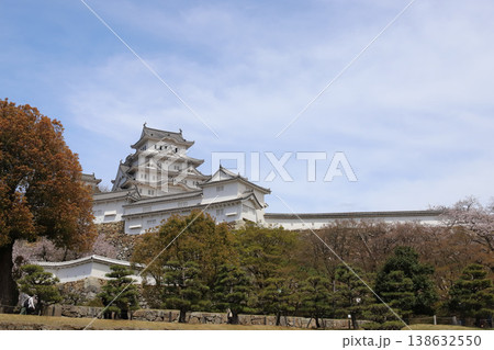春満開の姫路城（兵庫県 姫路市） 138632550