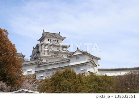 春満開の姫路城(兵庫県 姫路市) 春満開の姫路城(兵庫県 姫路市) 138632551