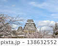 春満開の姫路城（兵庫県 姫路市） 138632552