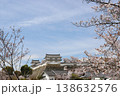 春満開の姫路城（兵庫県 姫路市） 138632576