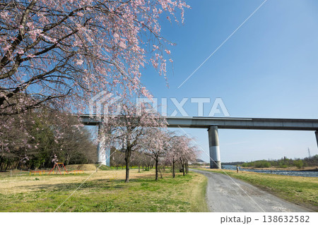 利根川河川敷公園より見る関越自動車道の利根川橋 138632582
