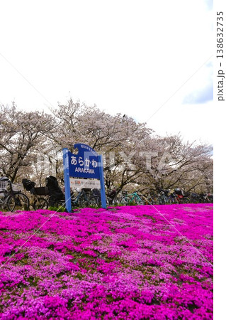 荒川赤羽桜堤緑地 荒川赤羽桜堤緑地 138632735