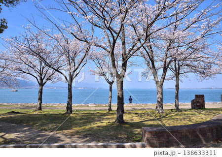 大津湖岸なぎさ公園なぎさのプロムナードの桜 大津湖岸なぎさ公園なぎさのプロムナードの桜 138633311