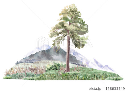 Mountain landscape with a pine tree and shrubs in the foreground. Isolated watercolor illustration for thematic websites, travel agency advertisements, postcards, posters, book and magazine covers. Mountain landscape with a pine tree and shrubs in the foreground. Isolated watercolor illustration for thematic websites, travel agency advertisements, postcards, posters, book and magazine covers. 138633349