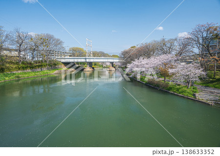 濠川の春景色　京都市伏見区 138633352