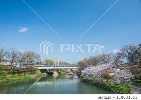濠川の春景色　京都市伏見区 138633353