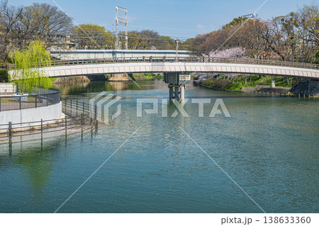 濠川の春景色 伏見みなと橋 京都市伏見区 濠川の春景色 伏見みなと橋 京都市伏見区 138633360