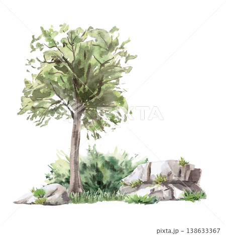 Landscape with a deciduous tree, bushes, and large rocks. Isolated watercolor illustration for websites about nature, ecology, landscape design, as well as educational and children's books. 138633367