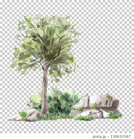 Landscape with a deciduous tree, bushes, and large rocks. Isolated watercolor illustration for websites about nature, ecology, landscape design, as well as educational and children's books. Landscape with a deciduous tree, bushes, and large rocks. Isolated watercolor illustration for websites about nature, ecology, landscape design, as well as educational and children's books. 138633367