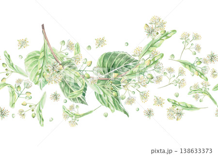 A seamless border with a linden branch and blossoms. Isolated watercolor illustration for flower shops, cosmetic brands, pharmacies, wedding printing, textile manufacturing, and packaging. A seamless border with a linden branch and blossoms. Isolated watercolor illustration for flower shops, cosmetic brands, pharmacies, wedding printing, textile manufacturing, and packaging. 138633373