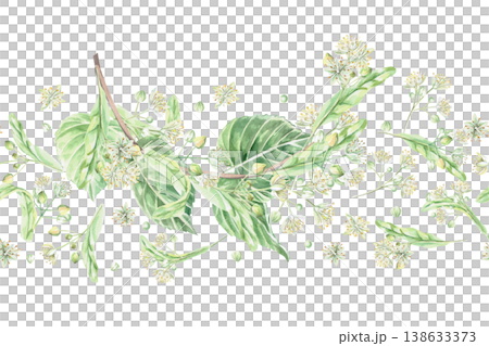 A seamless border with a linden branch and blossoms. Isolated watercolor illustration for flower shops, cosmetic brands, pharmacies, wedding printing, textile manufacturing, and packaging. A seamless border with a linden branch and blossoms. Isolated watercolor illustration for flower shops, cosmetic brands, pharmacies, wedding printing, textile manufacturing, and packaging. 138633373