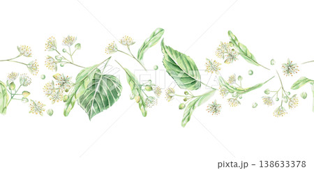 A seamless border of linden blossoms and leaves. Isolated watercolor illustration for flower shop designs, cosmetic brands, pharmacies, wedding printing, textiles, and packaging. 138633378