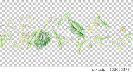 A seamless border of linden blossoms and leaves. Isolated watercolor illustration for flower shop designs, cosmetic brands, pharmacies, wedding printing, textiles, and packaging. 138633378