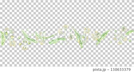Seamless border of linden blossoms. Isolated watercolor illustration for flower shop designs, cosmetic brands, pharmacies, wedding printing, textile production, and packaging. Seamless border of linden blossoms. Isolated watercolor illustration for flower shop designs, cosmetic brands, pharmacies, wedding printing, textile production, and packaging. 138633379