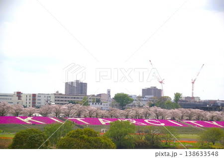 荒川赤羽桜堤緑地 荒川赤羽桜堤緑地 138633548
