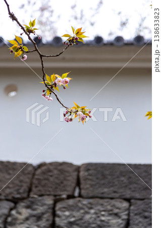 大村 大村 138633823