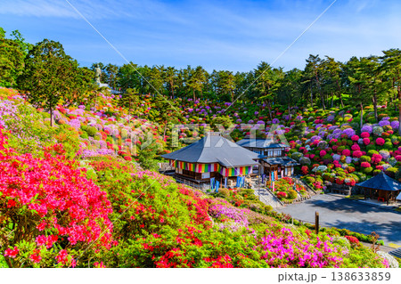 五月晴れの早朝に輝く塩船観音寺の満開のツツジ園 全景 138633859