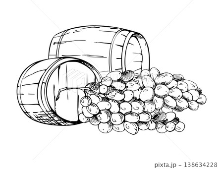 Rustic wine, sherry wooden barrel kegs for cellar storage, aging, harvested vineyard grapes. Isolated ink vector illustration hand drawn for wine tastings, distillery tour promos, viticulture graphics 138634228
