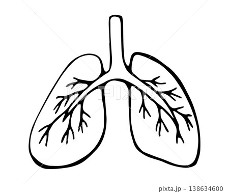 Hand drawn smartphone with communication icons representing social media messaging and digital interaction concept simple doodle vector illustration isolated on white background Hand drawn smartphone with communication icons representing social media messaging and digital interaction concept simple doodle vector illustration isolated on white background 138634600