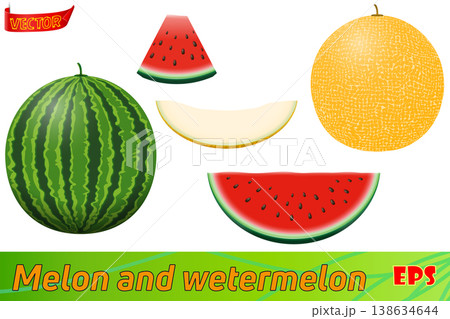 watermelon and melon ripe juicy vector illustration watermelon and melon ripe juicy vector illustration 138634644
