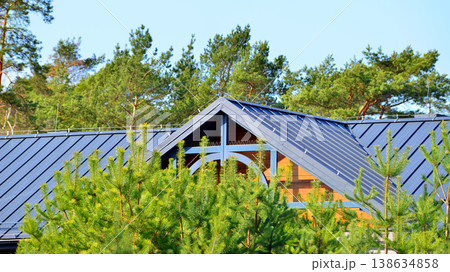 Eco architecture. Details of facade  and  panels on  building. Green tree and modern office building. The harmony of nature and modernity.  138634858