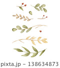 Set of branches, plants, leaves, berries. Watercolor illustration hand-drawn in children's vintage style, clip art, element isolated from background for design cards posters nursery decor, clothing 138634873