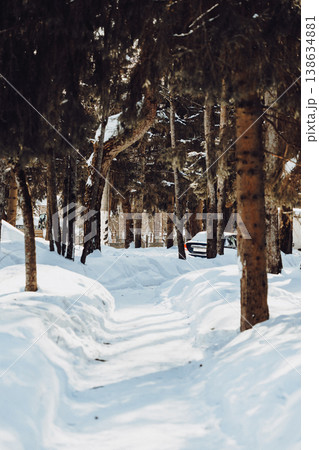Beautiful winter landscape, country road and trees covered with snow. Winter nature background. Vertical photo. Beautiful winter landscape, country road and trees covered with snow. Winter nature background. Vertical photo. 138634881