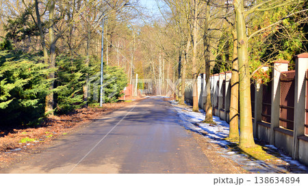 A tranquil residential street lined with trees casting dappled sunlight and shadows on the road. Perfect for concepts of nature, tranquility, and peaceful living. A tranquil residential street lined with trees casting dappled sunlight and shadows on the road. Perfect for concepts of nature, tranquility, and peaceful living. 138634894