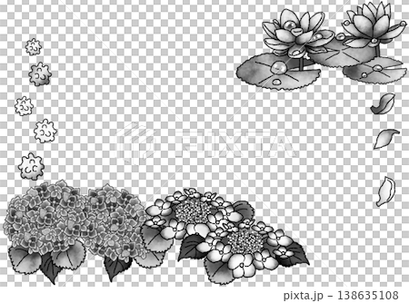 雨季花卉主題賀卡;單色插圖;PNG格式;透明背景。 雨季花卉主題賀卡;單色插圖;PNG格式;透明背景。 138635108