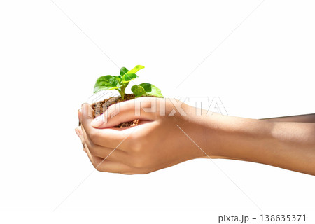Isolated View of Two Hands Holding a Young Green Seedling with Soil Ecology and Hope Concept Isolated View of Two Hands Holding a Young Green Seedling with Soil Ecology and Hope Concept 138635371