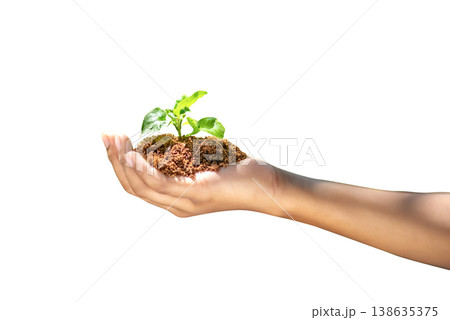 Isolated Shot of a Hand Holding a Small Green Plant Sprout with Soil 138635375