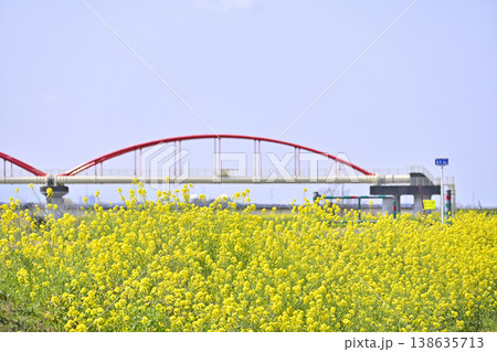 埼玉県・鴻巣市・コスモスアリーナふきあげ 春の風景 埼玉県・鴻巣市・コスモスアリーナふきあげ 春の風景 138635713
