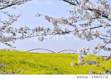 埼玉県・鴻巣市・コスモスアリーナふきあげ 春の風景 埼玉県・鴻巣市・コスモスアリーナふきあげ 春の風景 138635716