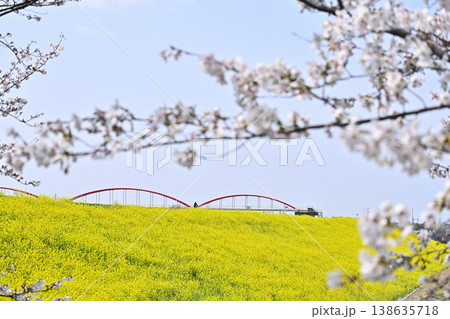 埼玉県・鴻巣市・コスモスアリーナふきあげ　春の風景 138635718