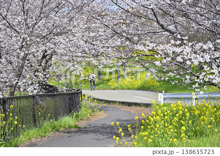 埼玉県・鴻巣市・コスモスアリーナふきあげ　春の風景 138635723