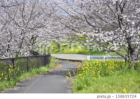埼玉県・鴻巣市・コスモスアリーナふきあげ 春の風景 埼玉県・鴻巣市・コスモスアリーナふきあげ 春の風景 138635724