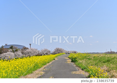 埼玉県・鴻巣市・コスモスアリーナふきあげ　春の風景 138635739